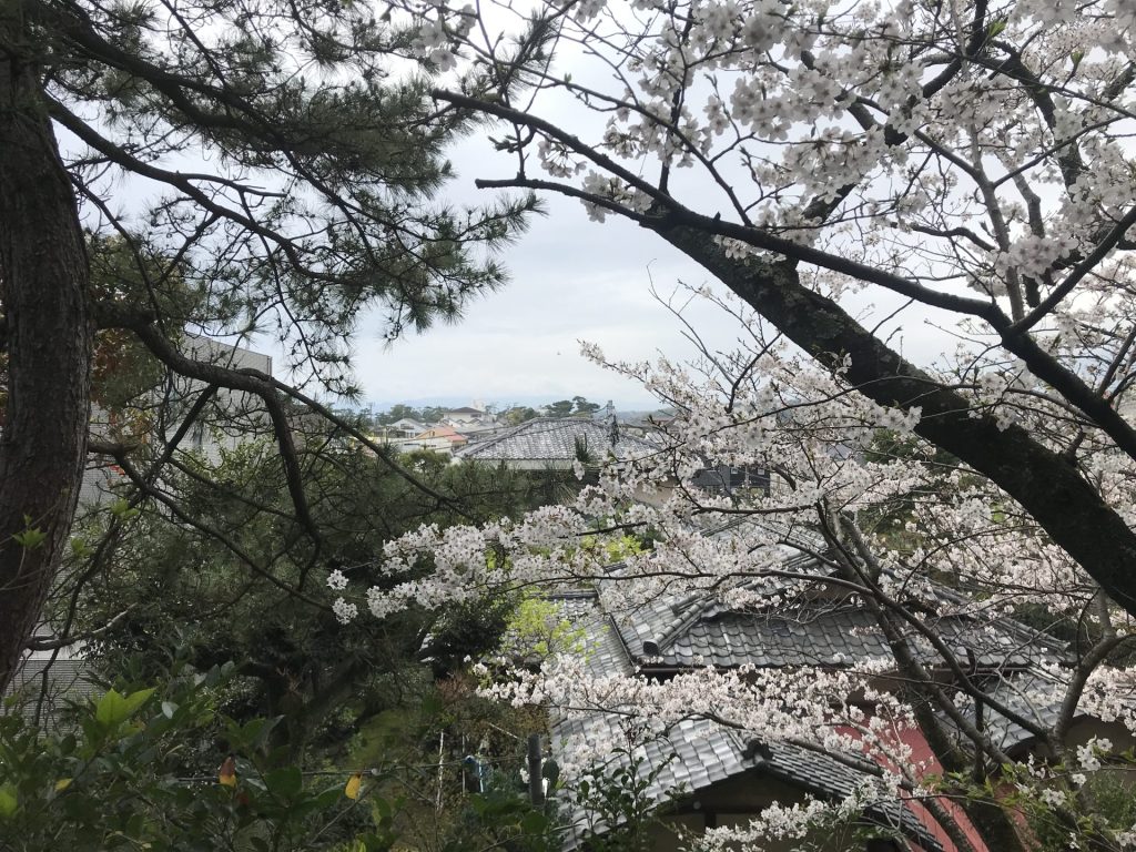 愛宕神社の頂上から富士山方面を眺める