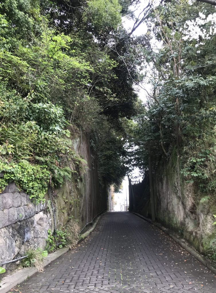 切通(きりとおし)