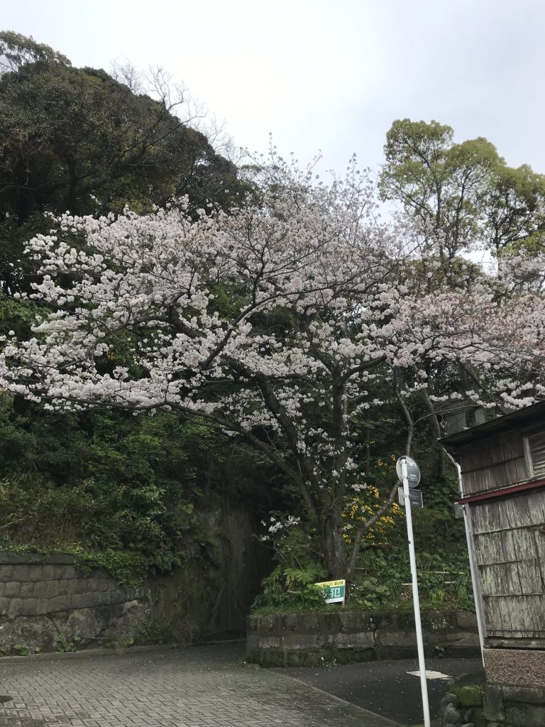 大磯愛宕神社